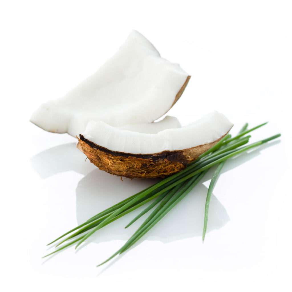 packshot produit sur fond blanc de duo de saveur, pour ducros