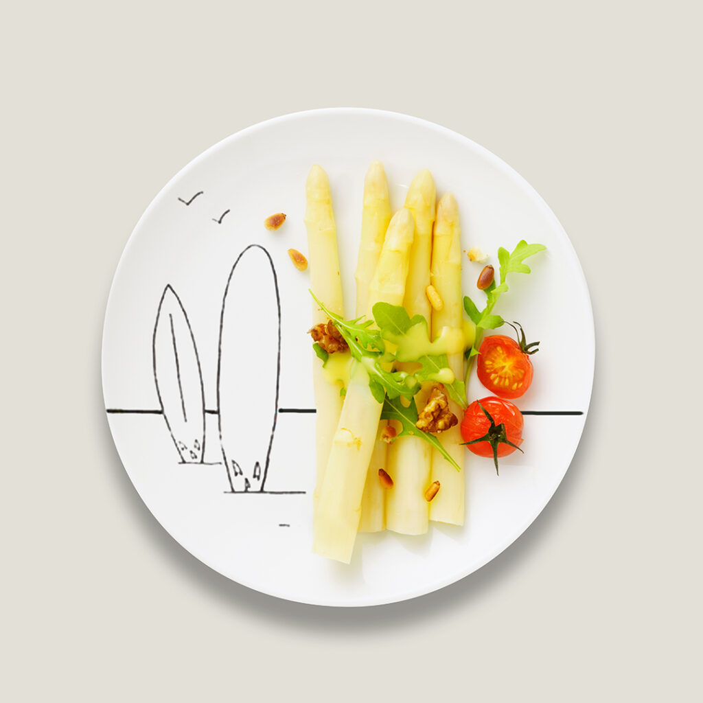 packshot produits sur fond blanc d une assiette d asperge pour qualite landes