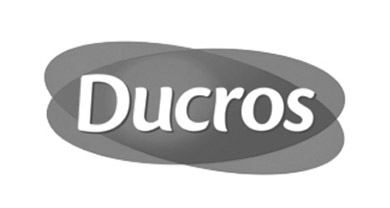 logo ducros