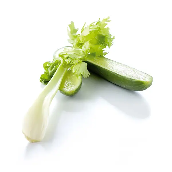 packshot bordeaux ecommerce photo photographe studio