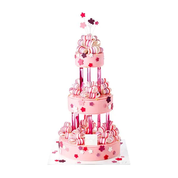 packshot bordeaux shooting photographe recette studio