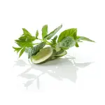 packshot shooting photo culinaire ingredient