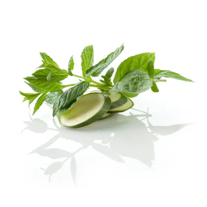 Packshot culinaire studio d'une branche de menthe fraîche et rondelles de courgette sur fond blanc avec reflet